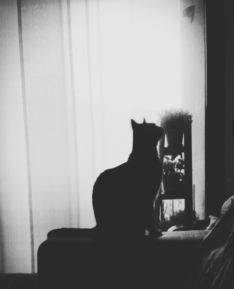 2016-05-07-20-48-10-990