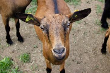 62556997_2352152968364215_4708386854909509632_n