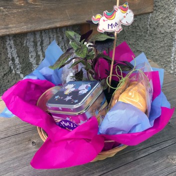 62588573_630154420822211_1637648455616692224_n