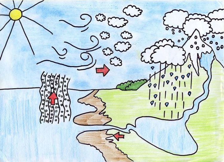 be355e010af0312b39fff6df7a7005b9